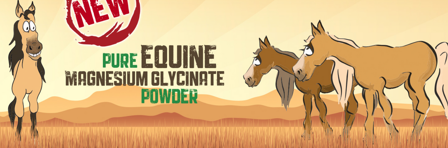 Equine Magnesium Glycinate 454g 2 scoop = 10g
