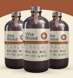 Vita Biosa + CHAGA 16oz liquid probiotic tea